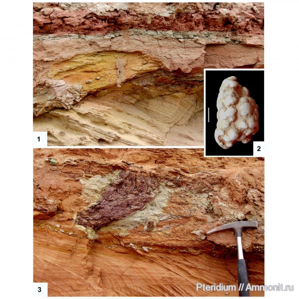 девон, Devonian, палеопочвы, франский ярус, дипнои, кокон, двоякодышащие рыбы