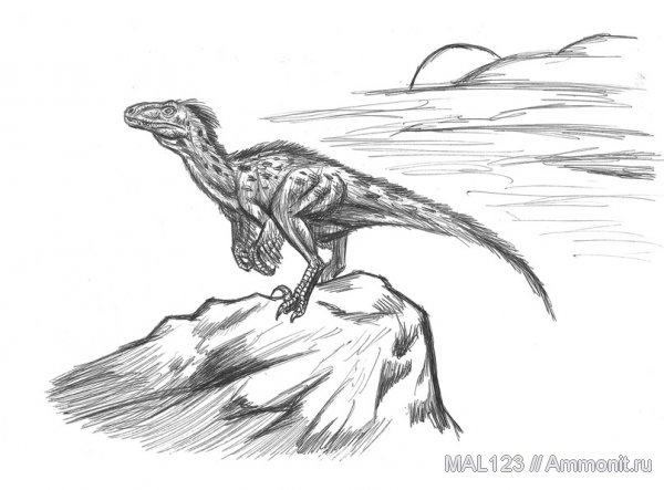 динозавры, дромеозавры, реконструкция, Dromaeosaurus