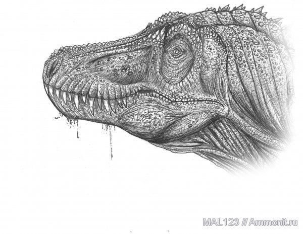 реконструкция, Tarbosaurus, Tarbosaurus bataar, Tyrannosauridae