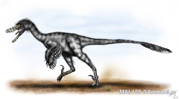 динозавры, Монголия, дромеозавры, Velociraptor, велоцирапторы, Velociraptor mongoliensis