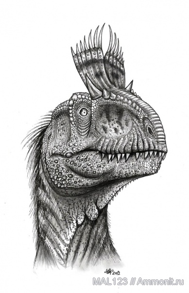 юра, Антарктида, тероподы, cryolophosaurus, Jurassic