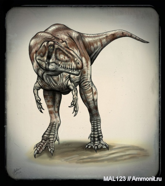 динозавры, тероподы, Tyrannotitan chubutensis, Tyrannotitan