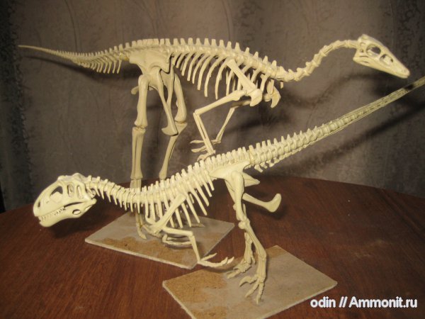 Deinonychus, Gallimimus