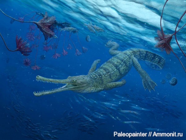 Steneosaurus, Steneosaurus bollensis, Holzmaden, Teleosauridae