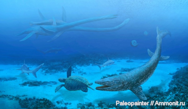 плезиозавры, мозазавры, морские рептилии, Elasmosauridae, Mosasauridae, Prognathodon, Cretaceous