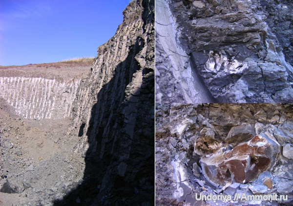 келловей, Саратов, Callovian, Middle Jurassic