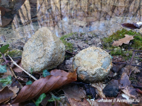 нижний мел, берриас, Крым, Северный борт Байдарской долины, Berriasian, Lower Cretaceous