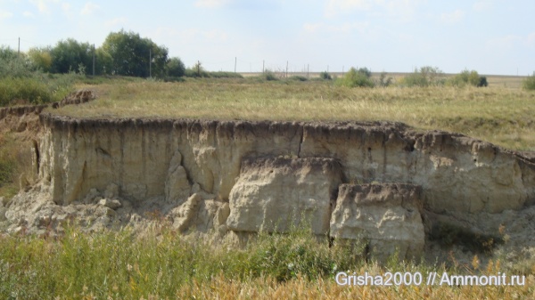 окаменелости, Fossils, Оренбургская область, поездка