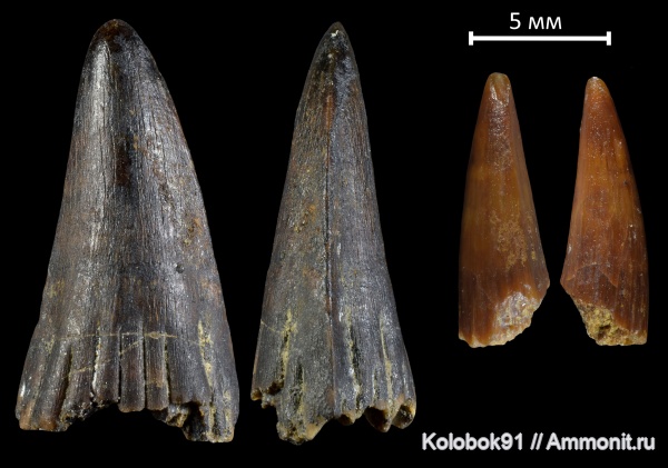 девон, рыбы, Sarcopterygii, Holoptychius