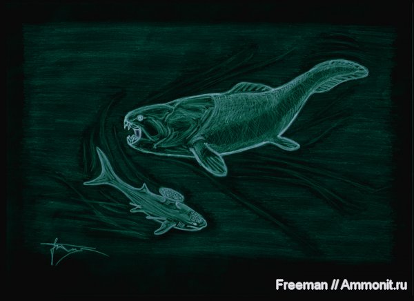 девон, рыбы, акулы, Dunkleosteus, Devonian, реконструкция, Placodermi, Stethacanthus, Symmoriiformes, fish, sharks