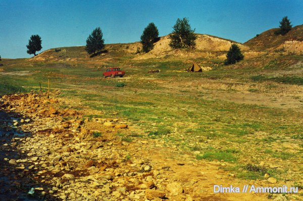 юра, раскопки, келловей, Никитино, Callovian, Jurassic, Middle Jurassic